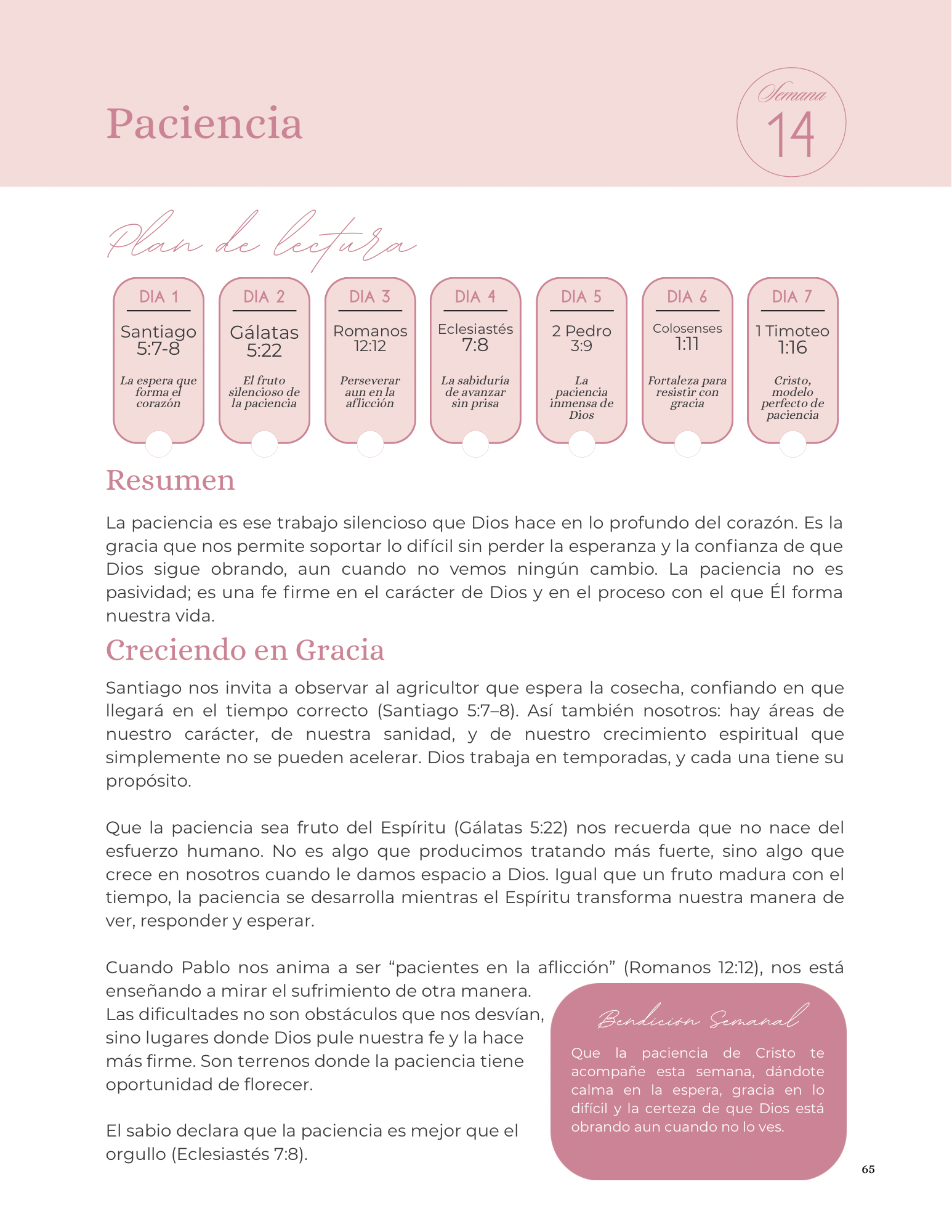 La Biblia En Un Año - Edición Floral